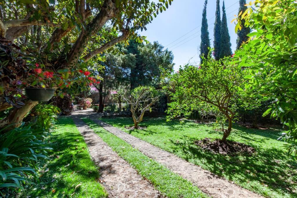 Вилла Casa En Tepoztlan Para Familias Y Amigos Оакалько Экстерьер фото