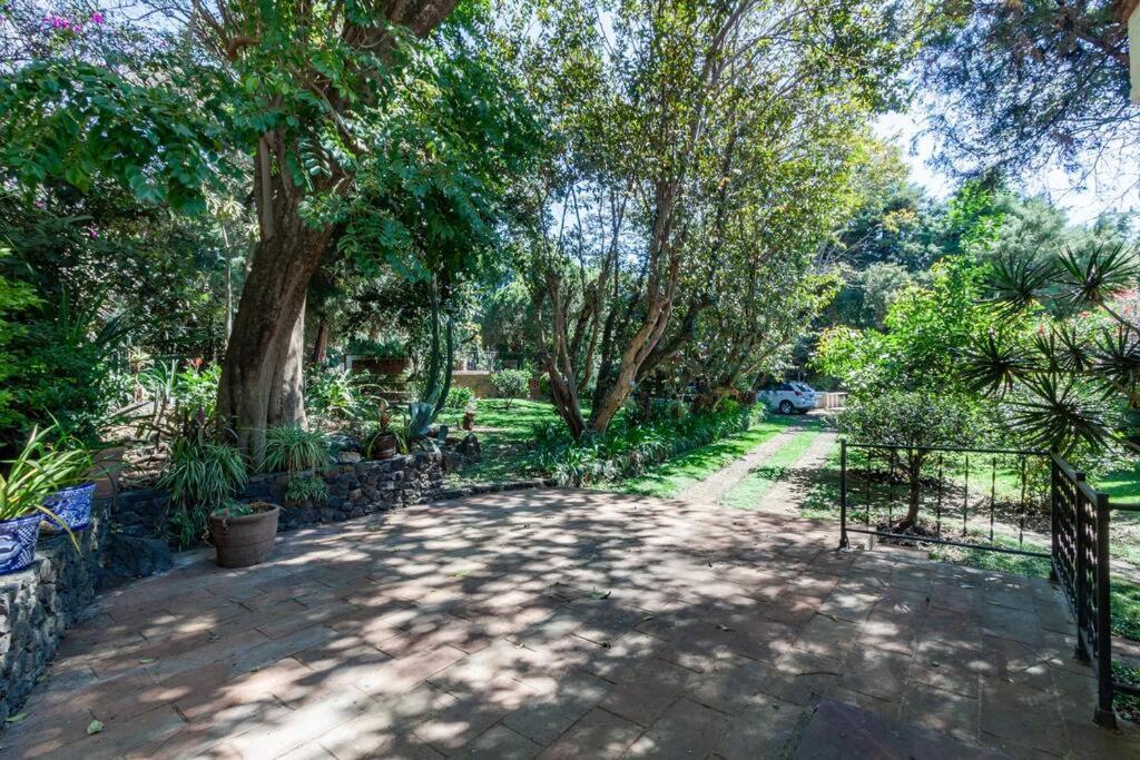 Вилла Casa En Tepoztlan Para Familias Y Amigos Оакалько Экстерьер фото